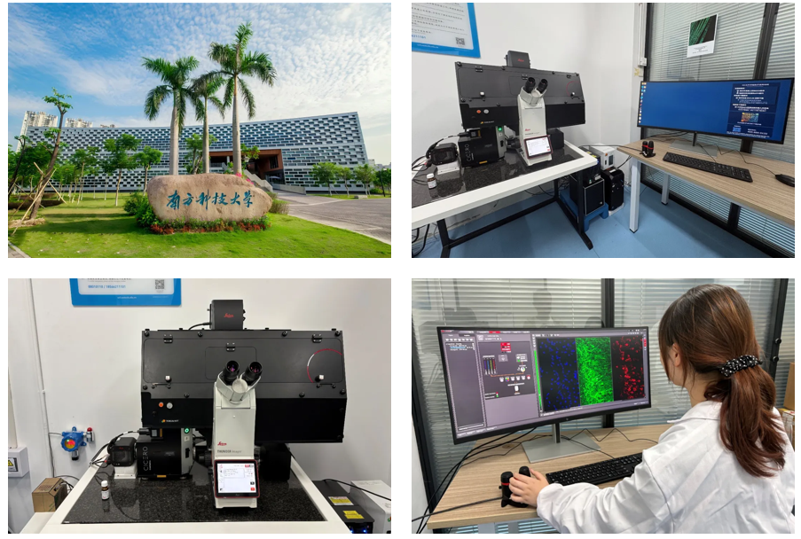 徕卡THUNDER Imager Cell Spinning Disk系统进驻南方科技大学
