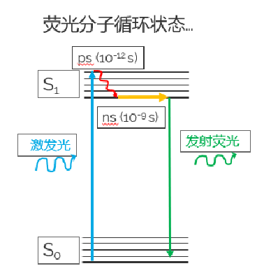 徕卡TauSense技术在自发荧光领域的应用